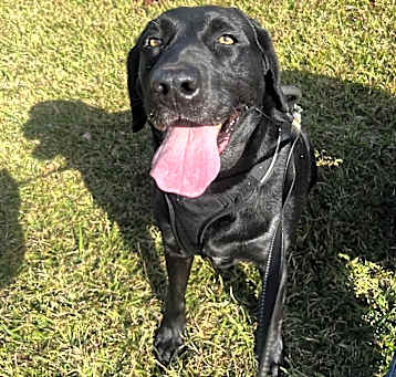 Photo of Zeus