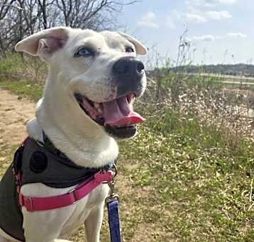 Photo of Suki
