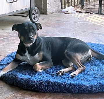 Photo of Lucy