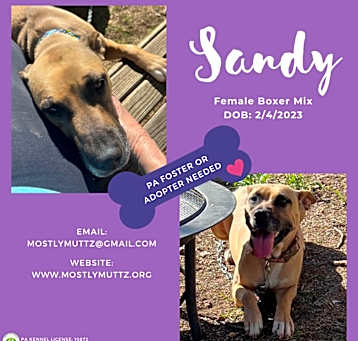 Photo of Sandy