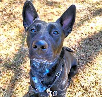Photo of Missy