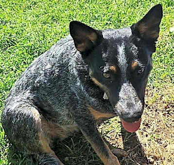 Photo of Camila ( Cami )
