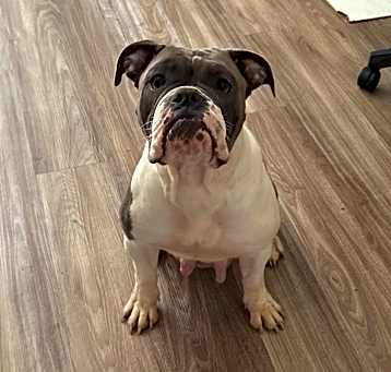 Photo of Kilo