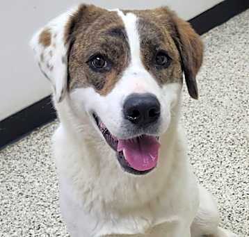 Photo of Bonnie