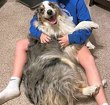 Photo of Arlo