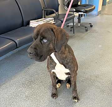 Photo of Bucky
