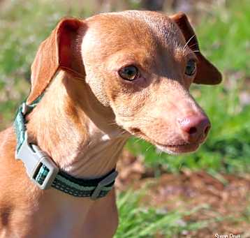 Photo of Bingo
