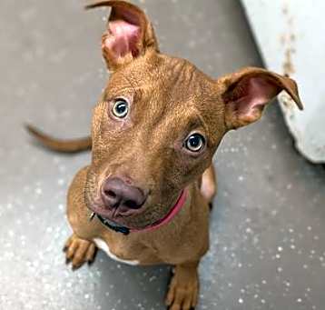 Photo of Kendra