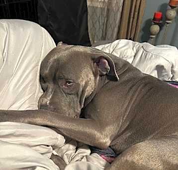 Photo of Smokey