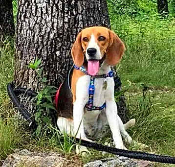 Photo of Izzy