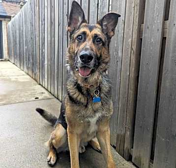 Photo of Jack