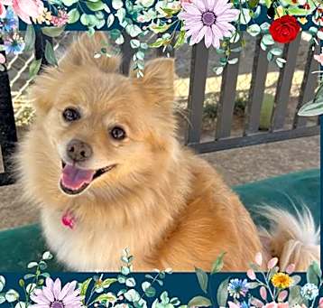 Photo of PONYO