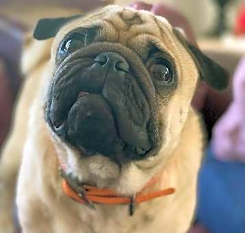Photo of Abner