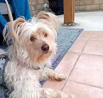 Photo of Tobiee