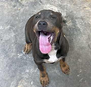 Photo of Grace