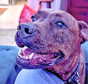 Photo of Reese (New Digs)