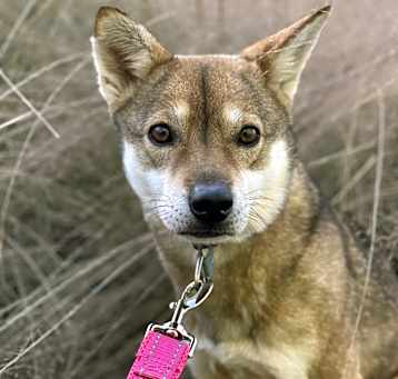 Photo of Sori
