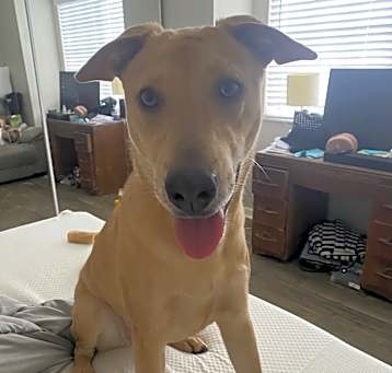 Photo of Mia