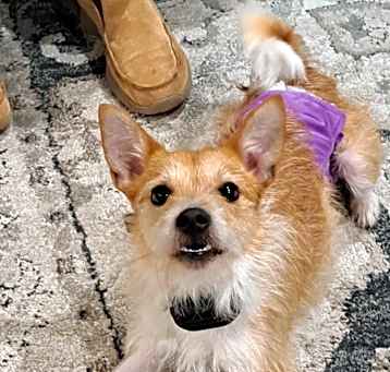 Photo of Buster