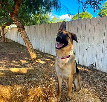 Photo of Avery