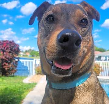 Photo of Charlee