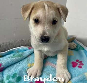 Photo of Brayden