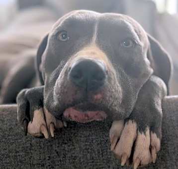 Photo of Coda