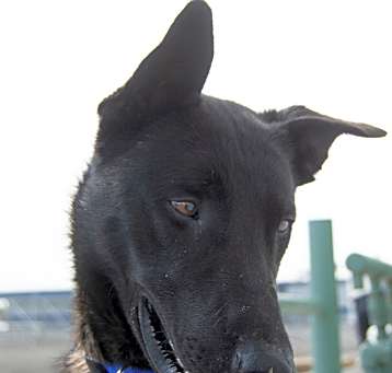 Photo of Brew