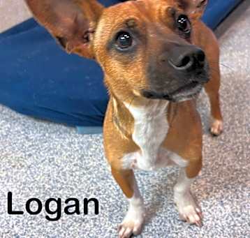 Photo of Logan
