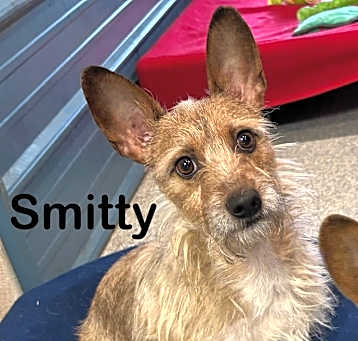 Photo of Smitty