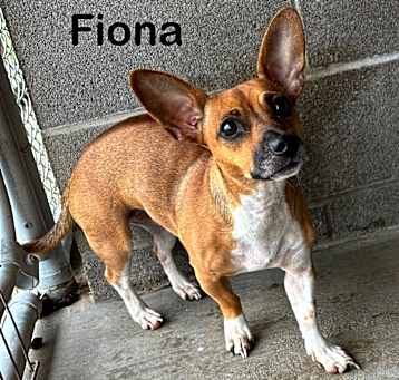 Photo of Fiona