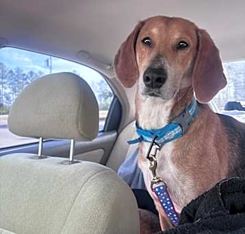Photo of Jake