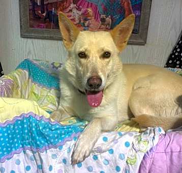 Photo of Ghost