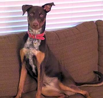 Photo of Zena