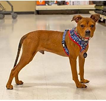 Photo of Parker-Hooch