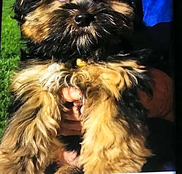 Photo of Baby Denny