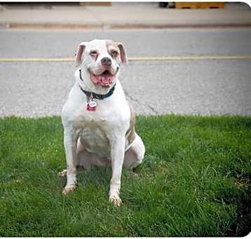 Photo of Charity Rose