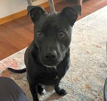 Photo of Zz Stryker~ Courtesy