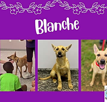 Photo of Blanche