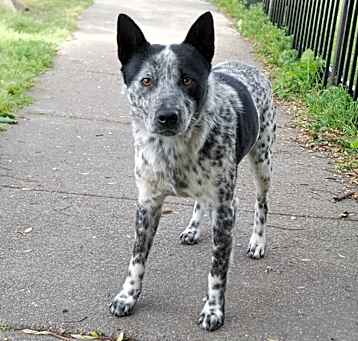 Photo of SPROCKET