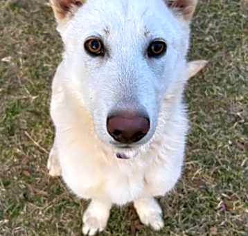 Photo of Luna Williams