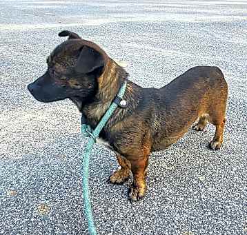 Photo of Betty