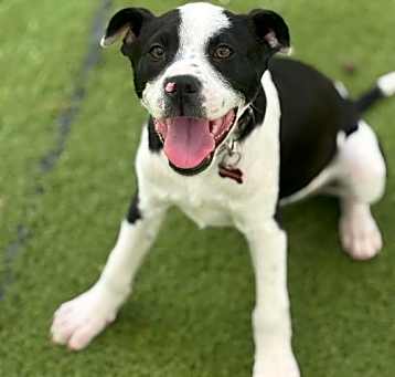 Photo of Kilo