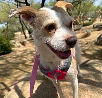 Photo of GiGi Marie