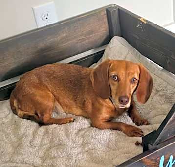 Photo of Mollie Mae