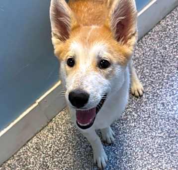 Photo of Aspen