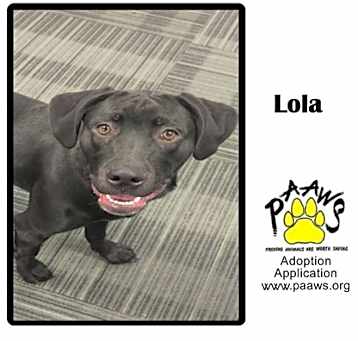 Photo of Lola