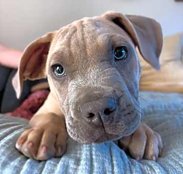 Photo of JASPER