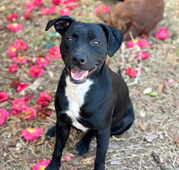 Photo of Tia ~ Loves ALL Toys