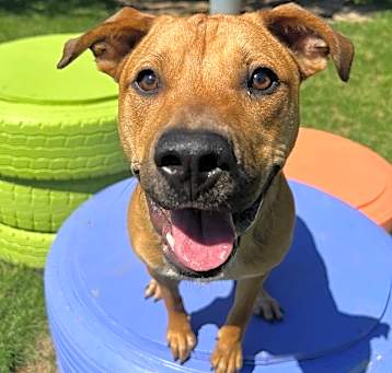 Photo of Ernie